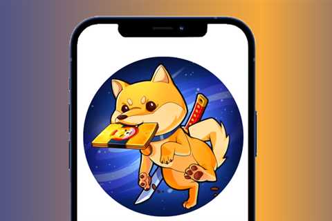 First look as Shiba Inu game testing goes live in Vietnam - Shiba Inu Market News