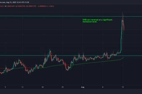 Shiba Inu, Dogecoin jump as risk-on behaviour returns to crypto markets