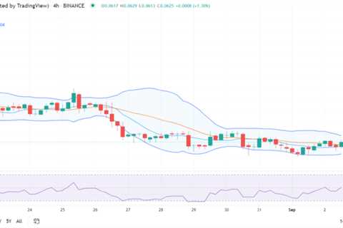 Dogecoin price analysis: DOGE increases value by 3% after bullish takeover