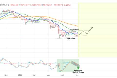 BTC stabilizes after fear fall