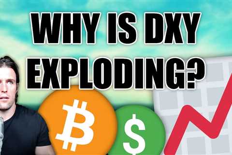 Why US Dollar Index (DXY) is Hitting 20-Year Highs | Bitcoin Expert Explains