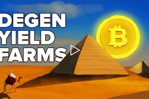 What are Degen Yield Farms? (Animated) - Crypto Pyramid Schemes