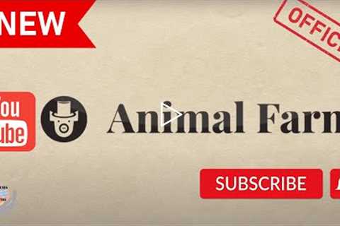 Drip Network New Animal Farm Official YouTube and Interview