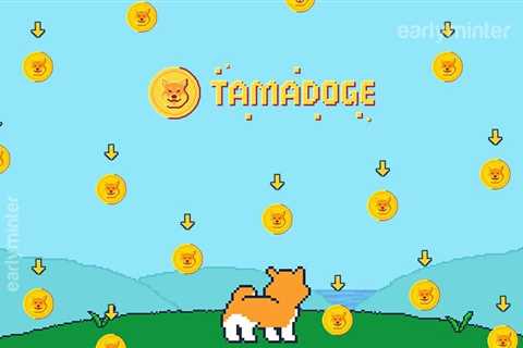 Shiba Inu vs Tamadoge – head to head