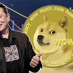 Dogecoin gains 126% in one week as Musk buys Twitter