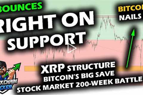 VOLATILITY TO END THE WEEK as Bitcoin Price Chart BOUNCES on Support, Altcoin Market Too, XRP Range