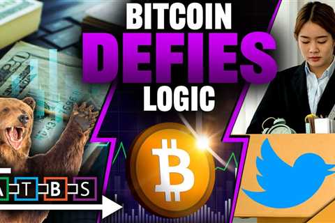 Bitcoin DEFIES Logic! (How to Hustle Money During Bear Market)