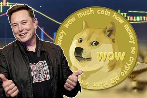 Dogecoin gains 126% in one week as Musk buys Twitter