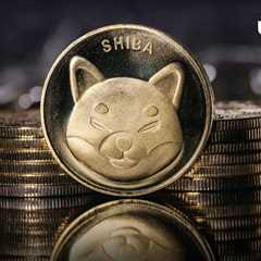 SHIB Needs 10,000 Years To Hit $1, Shiba Inu Holder Says, Here's Why - Shiba Inu Market News