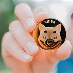 Here's How Shiba Inu Coin's Prolonged Recovery May Offer 20% Rise - Shiba Inu Market News