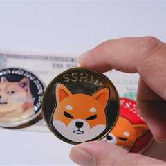 How will Shiba Inu Perform in Q1 of 2023? The Numbers are IN! - Shiba Inu Market News