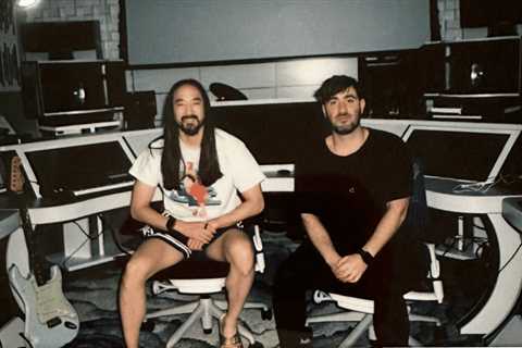 Steve Aoki x 3LAU Form Cryptopunk DJ Supergroup: PUNX