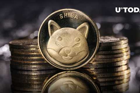 SHIB Needs 10,000 Years To Hit $1, Shiba Inu Holder Says, Here's Why - Shiba Inu Market News