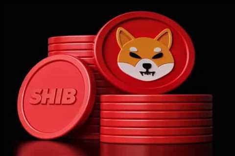 Shiba Inu's Shibarium Beta Launch Almost Here, Says Official Portal - Shiba Inu Market News