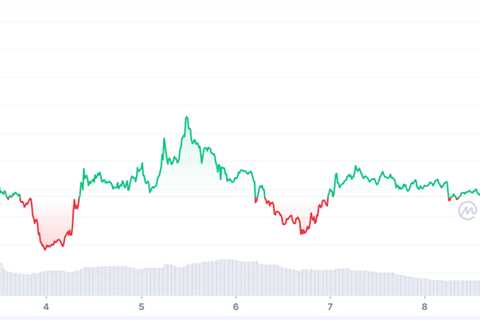BSC Whales Amass Dogecoins; DOGE’s Price Surges in 24 Hours
