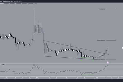 Shiba Inu Long-Term Price Prediction: Rally Incoming? - Shiba Inu Market News