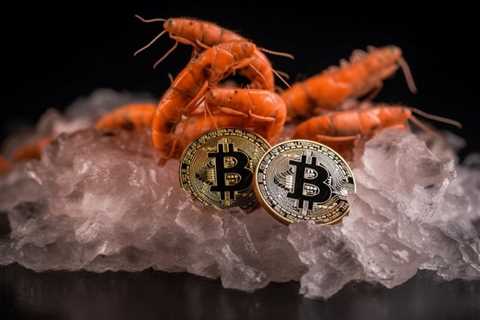 Bitcoin Ownership Trend Suggests Decentralization as Shrimps and Crabs Gain Ground