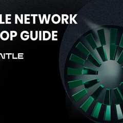Mantle Network Airdrop Guide: New Rollup + Potential Retrodrop