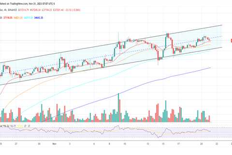 Bitcoin's Potential Performance in a Recession: A Fresh Perspective