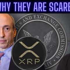 Latest XRP Ripple News Today (SEC Shreds Ultimatum)