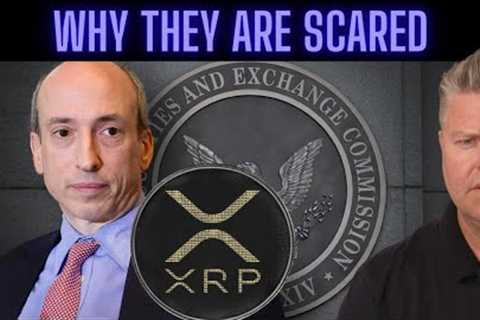 Latest XRP Ripple News Today (SEC Shreds Ultimatum)