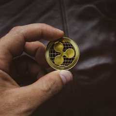 How to Think About Bitcoin Treasury Companies: A Bitcoiner’s Dilemma in the Age of Rampant..