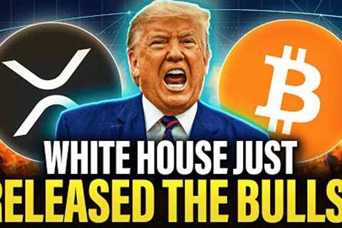 VIOLENT RECOVERY: The White House Just RELEASED The Crypto & XRP BULLS!