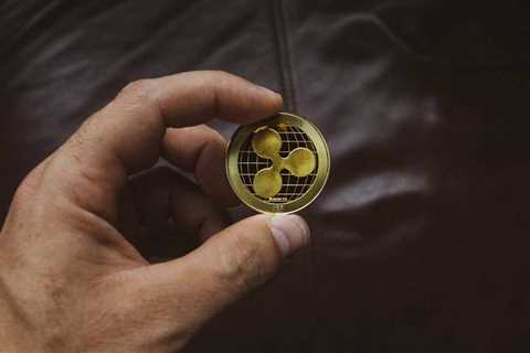 How to Think About Bitcoin Treasury Companies: A Bitcoiner’s Dilemma in the Age of Rampant..