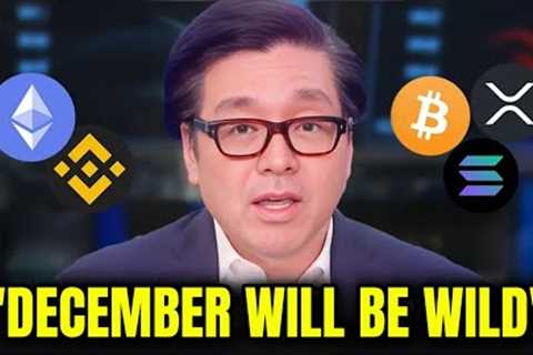 Tom Lee - People Don''t Realize How WILD December Will Be for Crypto! MILLIONAIRES Will Be Made