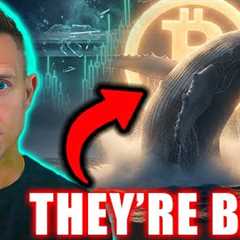 My TOP 4 ALTCOINS...Whales Are Buying Bitcoin Like NEVER Before (Charts Are Insane)