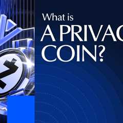 What is a Privacy Coin? [year Cryptocurrency Guide