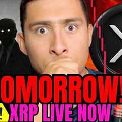 XRP NOW! TRUMP DROPPING a BOMBSHELL SOON! CRYPTO NEWS